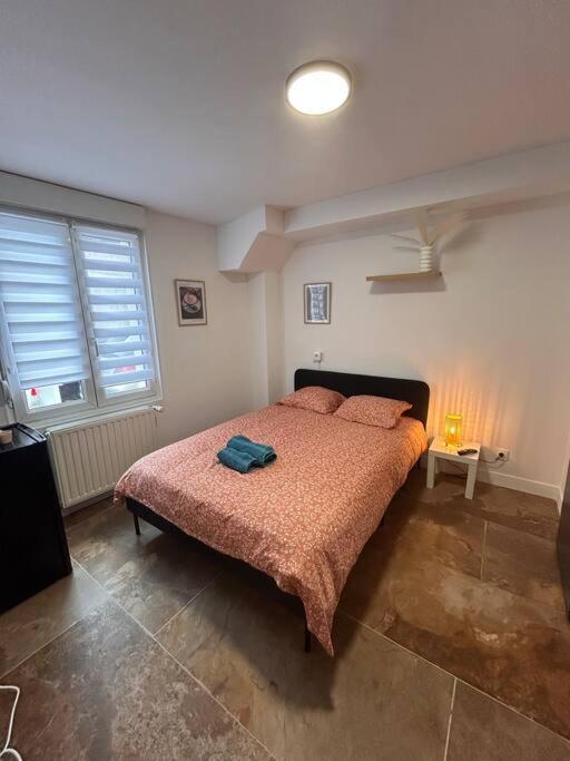 La Ptite Albi Home Nancy Luaran gambar
